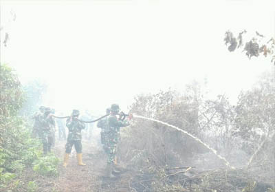   Tim pemadam Karhutla Dumai tengah memadamkan kebakaran lahan di Jalan Rimbun Jaya Kelurahan Lubuk Gaung Kecamatan Sungai Sembilan. FOTO: BPBD Dumai
