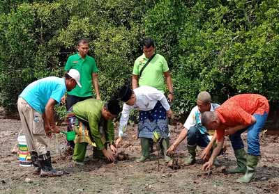  Walikota Dumai Drs H Zulkifli AS MSi menanam mangrove di sungai Dumai Jalan Nelayan Laut Kecamatan Dumai Barat, Jumat (20/4/2018).
