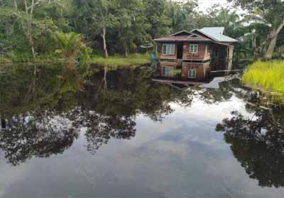 Rumah warga yang kebanjiran di Bengkalis
