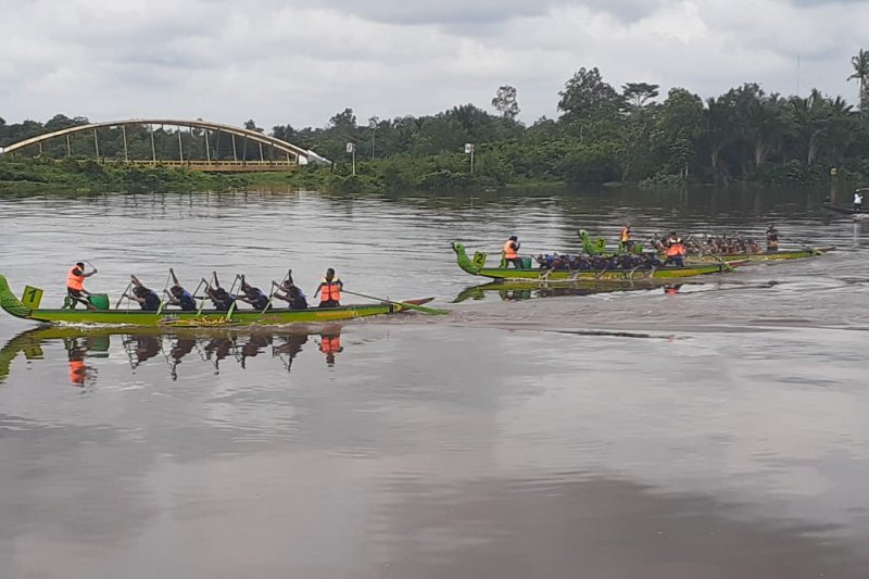 Tim berpacu Siak International Serindit Boat Race di Sungai Siak. Foto: Antara