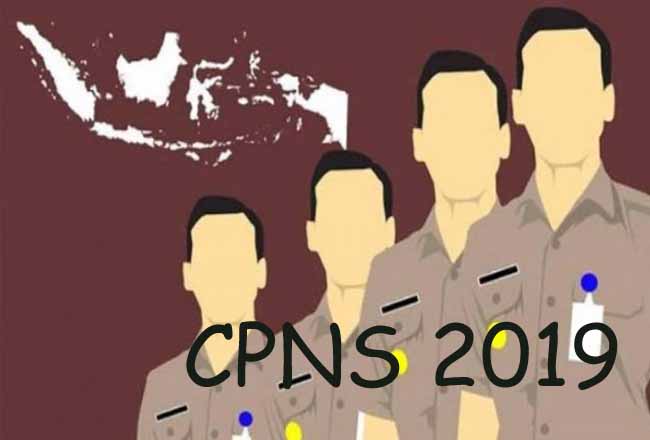 CPNS 2019