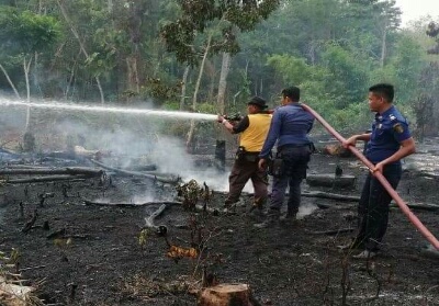 Tiga petugas Damkar Kuansing bahu membahu memadamkan api di lahan yang terbakar.