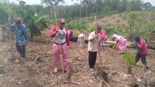 Kades Sialang Jaya Yuherman Daulay, bersama warga ikut manugal Bersama di atas lahan seluas satu hektar.