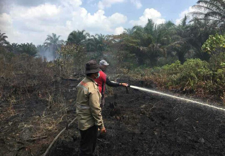 Tim pemadam Karhutla Kota Dumai saat memadamkan kebakaran lahan di Kecamatan Medang Kampai baru-baru ini. 