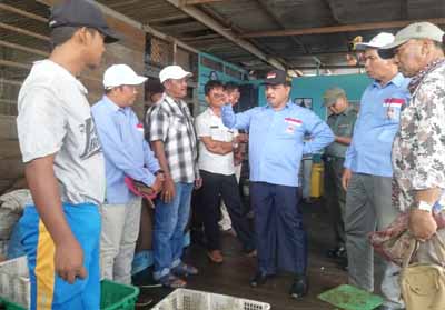 Ketua DPC HNSI, H Said Syarifuddin tinjau potensi siput laut.