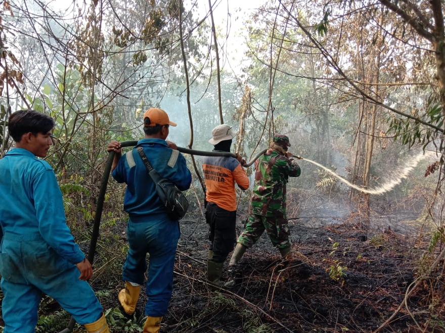  Tim gabungan pemadaman dan Pendinginan Karlahut BPBD Kota Dumai berjibaku memadamkan kebakaran lahan di Kelurahan Bukit Timah. FOTO: BPBD Dumai