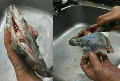 Ikan berisi uang dalam plastik.