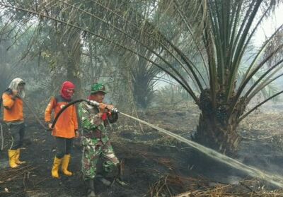 Tim gabungan berjibaku memadamkan kebakaran lahan di Kelurahan Bangsal Aceh, Jumat (15/2).