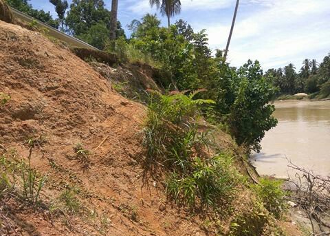 Tebing sungai kuantan di Koto Kombu makin kritis akibat longsor bawa badan jalan semenisasi.