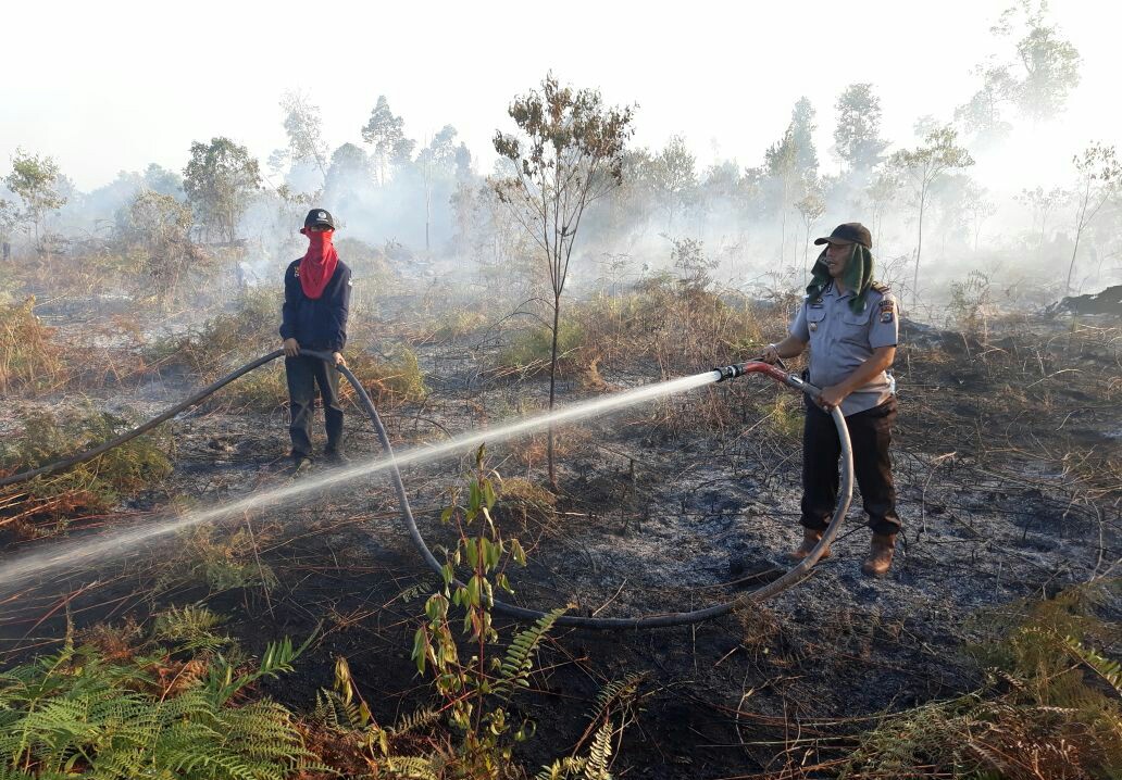 Petugas padamkan api yang membakar lahan gambut di Sungai Apit.