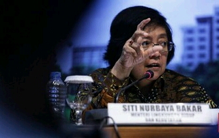 Menteri LHK Siti Nurbaya. Foto : Cnn Indonesia