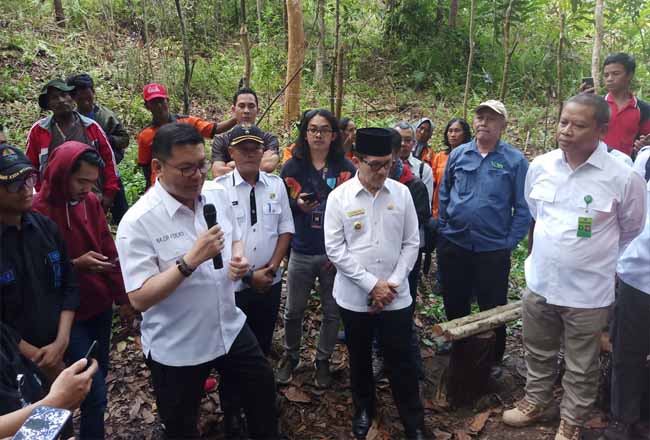  Kepala BRG Nazir Foead didampingi Walikota Dumai Drs H Zulkifli AS MSi memantau lokasi budidaya lebah kelulud yang dipusatkan di hutan wisata sungai Dumai, Rabu (9/10/2019).
