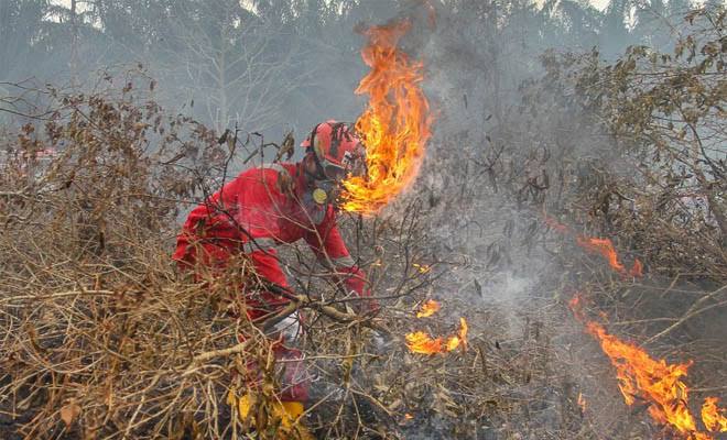 Ada Hotspot Di Sumatera Sore Ini Riau Tertinggi Ketiga