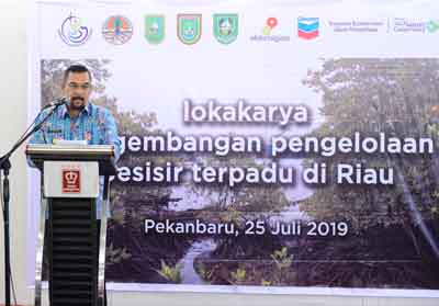  Wakil Gubernur Riau Edy Natar Nasution saat menyampaikan sambutan pada acara Lokakarya Pengembangan Pengelolaan Pesisir terpadu di Riau.