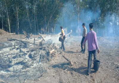 Api di lahan perkebunan yang terbakar berhasil dipadamkn.