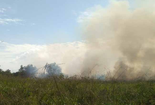 Lahan kosong milik Pertamina Patra Niaga terbakar.