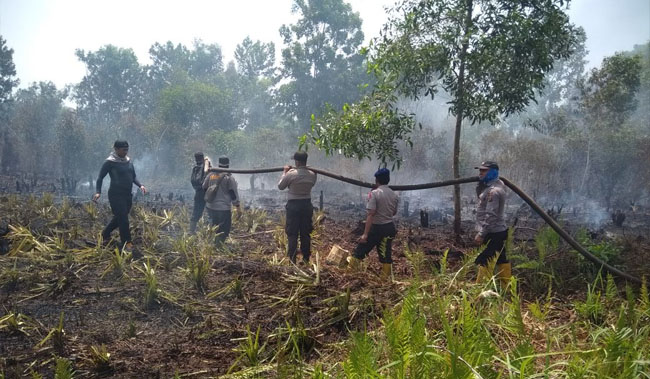 Petugas padamkan kebakaran lahan (Karhutla) di Dumai.