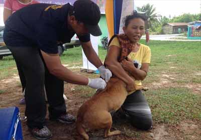 Petugas melakukan vaksinasi rabies kepada hewan peliharaan warga.