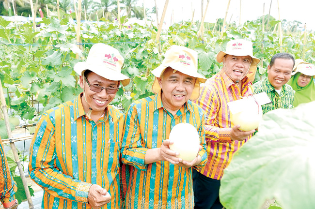 Gubri, Arsyadjuliandi Rachm panen buah melon saat menghadiri Pembukaan Pekan Daerah XV KTNA