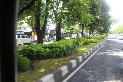 Ilustrasi taman median jalan.