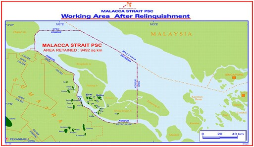 Penurunan permukaan tanah lokasi sumur minyak EMP di Ac 2 Cluster Jalan Kurau Desa bagan Melibur Kec. Merbau).