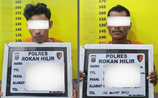 Dua pelaku pembalakan liar di Kepenghuluan Sekeladi, Rohil (foto/zal)