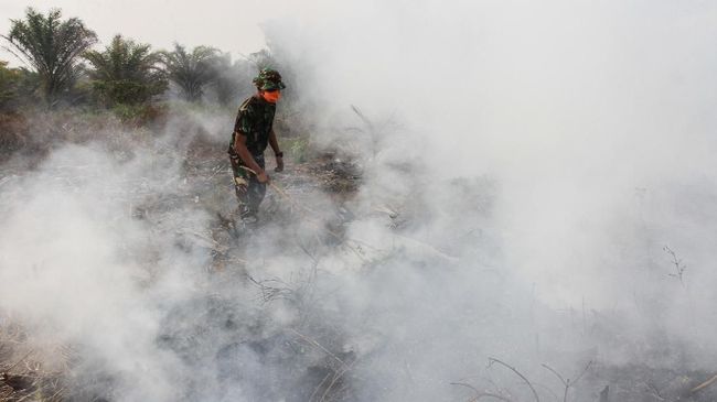 Aksi pemadaman kebakaran lahan. (ANTARA FOTO/Syifa Yulinnas)
