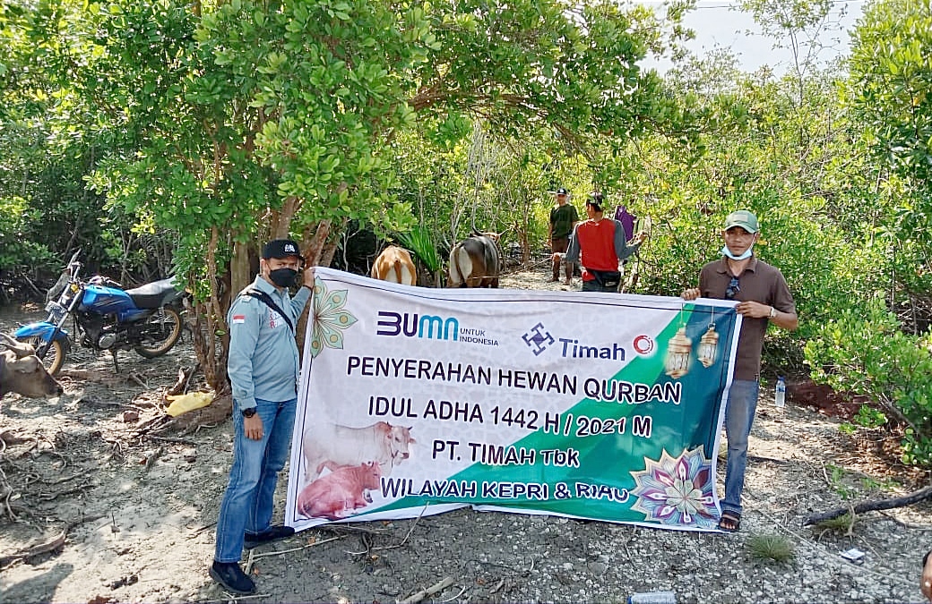 PT Timah Bagikan 32 Ekor Hewan Kurban Di Wilayah Operasional Riau Dan Kepri