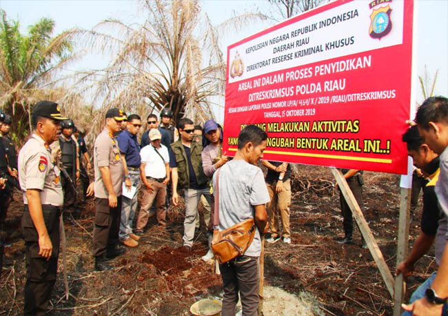 Pemasangan plang tanda dari Polda Riau di lahan terbakar.