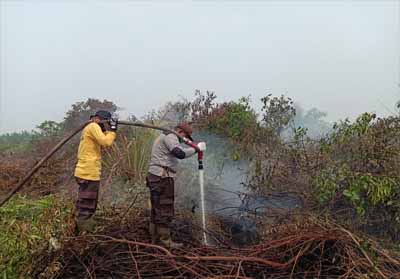 Polsek Bangko sampai saat ini terus melakukan pendinginan di lahan yang terbakar yang terletak di Desa Labuhan Tangga Besar.