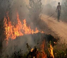 Hotspot Tersebar Di Sumatera Sore Ini Titik Di Riau