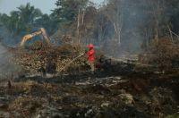 Ilustrasi hotspot di Riau masih belum sirna (foto/int)
