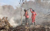 Ilustrasi Riau terdeteksi 156 hotspot atau titik panas (foto/int)