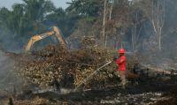 Ilustrasi 18.582 hektare lahan terbakar dan tersebar 12 kabupaten/kota di Riau (foto/int)