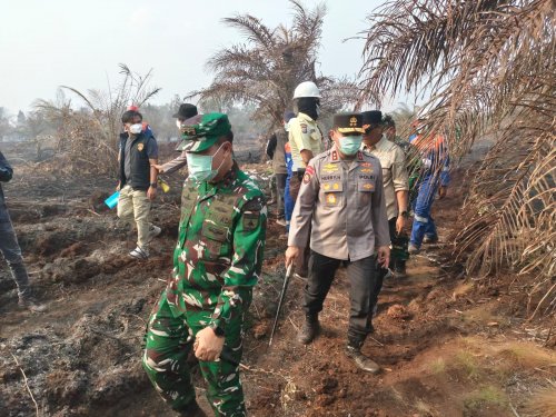 Pangdam dan Kapolda Riau turun langsung ke lokasi Karhutla Dayun, Siak (foto/int)