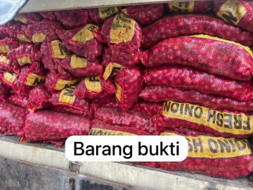 Polsek Teluk Meranti dan  Reskrim Polres Pelalawan menggagalkan penyelundupan 887 karung bawang ilegal di Teluk Meranti (foto/Andy)