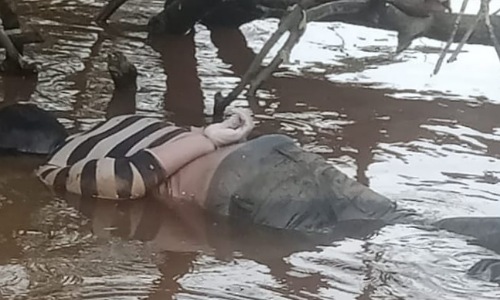 Mayat mengapung di Sungai Kampar, Pelalawan.(foto: andi/halloriau.com)