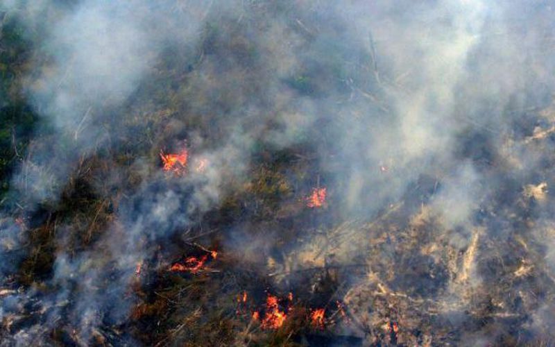 BMKG catat hotspot di Riau tersisa belasan titik (foto/int)