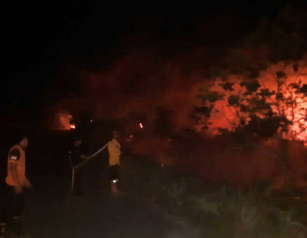 Tim Gabungan memadamkan api yang membakar lahan di Desa Salo, Kecamatan Salo, Kabupaten Kampar, Jumat (27/6/2025).
