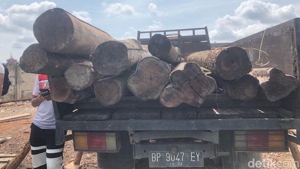 Kayu mahang selundupan dari Inhil yang diamankan Polresta Barelang.(foto: detik.com)