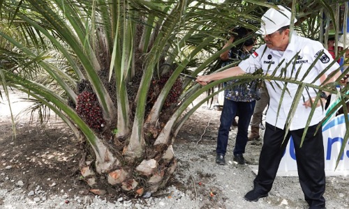 Gubernur Riau, Syamsuar.(foto: bayu/halloriau.com)