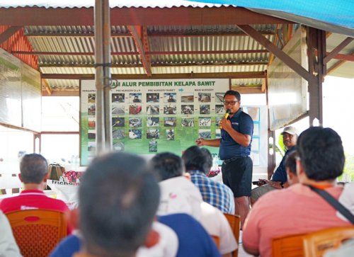 Peserta Kunjungan Pembibitan Dami Mas mengikuti sesi pembelajaran mengenai proses pembibitan kelapa sawit.