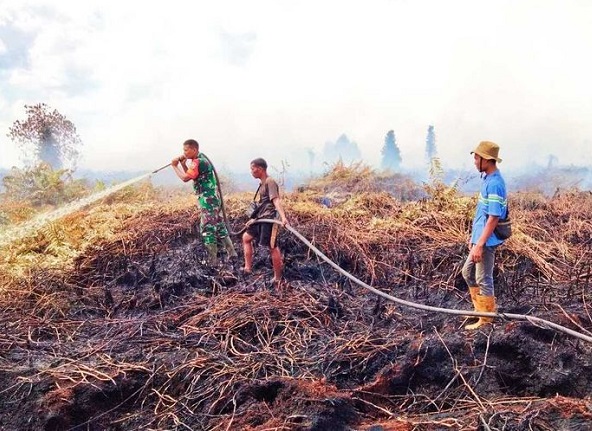 Petugas gabungan berjibaku memadamkan api karhutla di Desa Pauh, Kecamatan Bonai Darussalam, Kabupaten Rokan Hulu, Riau, Senin (19/6/2023).(Dok. Koramil 10/Kunto Darussalam)
