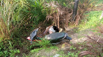 Pengendara motor alami kecelakaan tunggal di Rohil meninggal (foto/Zal)