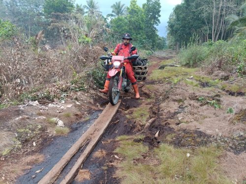 Personel Manggala Agni masih melakukan pemadaman Karhutla di Kuala Kampar.(foto: mcr)