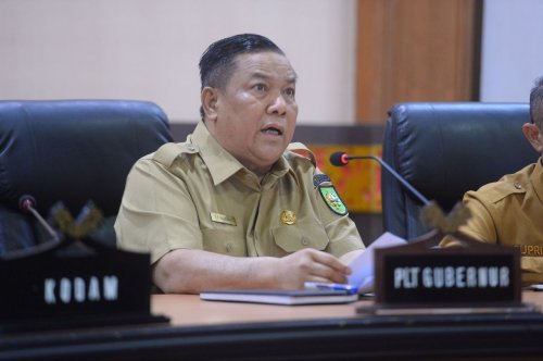 Plt Gubernur Riau, SF Hariyanto (foto/int)
