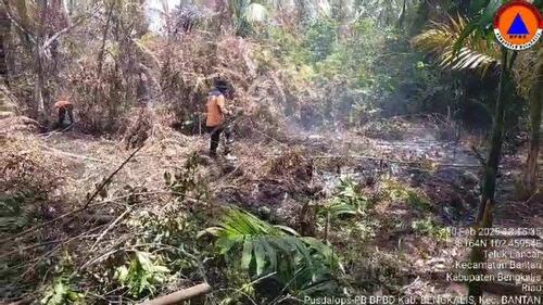 Tim gabungan sedang melakukan pendinginan di areal kebakaran hutan dan lahan di Desa Kembung Luar, Kecamatan Bantan Bengkalis. (Foto: Tribun Pekanbaru)