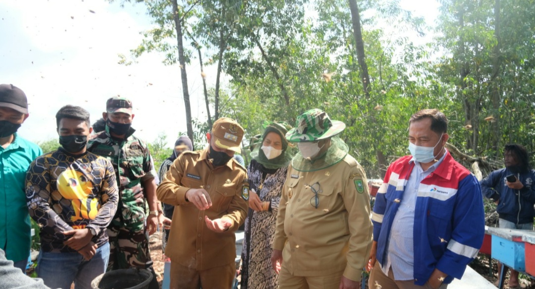 Wagub Riau Edy Natar kunjungan kerja ke lokasi budidaya madu biene binaan Pertamina Sungai Pakning. 