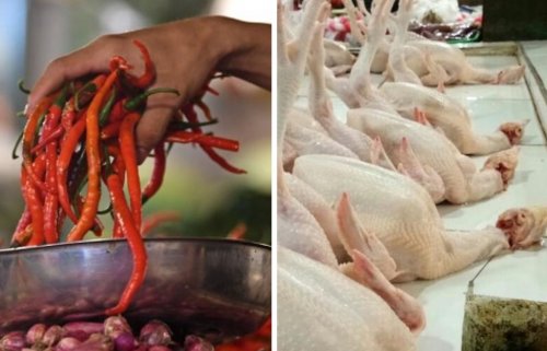 Ilustrasi harga cabai merah dan ayam ras mahal di Pekanbaru (foto/int)