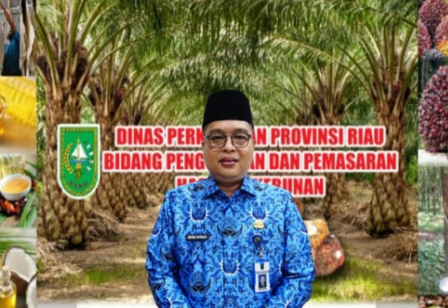 Kepala Bidang Pengolahan dan Pemasaran Dinas Perkebunan Provinsi Riau, Defris Hatmaja